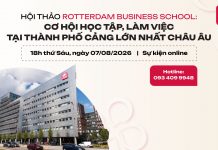 Học Cử nhân Kinh doanh quốc tế tại Trường kinh doanh Rotterdam